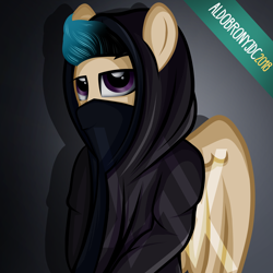 Size: 3000x3000 | Tagged: safe, artist:aldobronyjdc, derpibooru import, oc, pegasus, pony, clothes, hoodie, solo