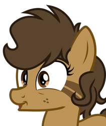 Size: 1982x2344 | Tagged: safe, artist:binkyt11, derpibooru import, oc, oc only, oc:binky, earth pony, hybrid, pony, zony, 8^y, bust, faic, female, freckles, inkscape, mare, simple background, solo, transparent background, vector