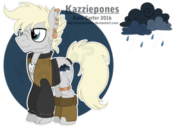 Size: 1024x757 | Tagged: safe, artist:kazziepones, oc, oc only, oc:storm carver, pegasus, pony, clothes, male, reference sheet, simple background, solo, stallion, transparent background