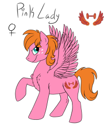 Size: 1800x2100 | Tagged: safe, artist:pampoke, oc, oc only, oc:pink lady, pegasus, pony, chest fluff, female, freckles, mare, offspring, parent:big macintosh, parent:fluttershy, parents:fluttermac, simple background, solo, spread wings, transparent background, wings