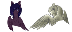 Size: 1024x457 | Tagged: safe, artist:kimyowolf, derpibooru import, oc, oc:eclipse star, pegasus, pony, bust, male, portrait, simple background, solo, stallion, transparent background