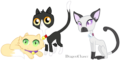 Size: 1536x750 | Tagged: safe, artist:dragonchaser123, derpibooru import, cat, pinkie apple pie, animal, bell, bell collar, collar, goldie delicious' cats, siamese cat, signature, simple background, transparent background, trio, vector