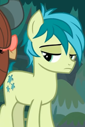 Size: 428x638 | Tagged: safe, derpibooru import, screencap, sandbar, earth pony, pony, non-compete clause, cropped, male, sandbar is not amused, solo