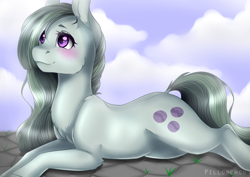 Size: 4092x2893 | Tagged: safe, artist:pillonchou, marble pie, earth pony, pony, absurd resolution, blushing, cloud, cute, female, marblebetes, mare, prone, sky, smiling, solo