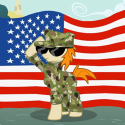 Size: 894x894 | Tagged: safe, artist:pizzamovies, derpibooru import, oc, oc:pizzamovies, earth pony, pony, american flag, army, camouflage, clothes, salute, solo, sunglasses, uniform, united states