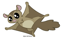 Size: 876x512 | Tagged: safe, artist:dragonchaser123, derpibooru import, flying squirrel, squirrel, may the best pet win, animal, signature, simple background, solo, transparent background, vector