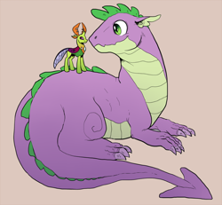 Size: 900x833 | Tagged: safe, artist:mrsstarlight, spike, thorax, changedling, changeling, dragon, gay, king thorax, male, shipping, size difference, smiling, thoraxspike