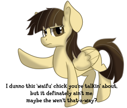 Size: 3500x3000 | Tagged: safe, artist:rainbowtashie, derpibooru import, wild fire, pegasus, pony, background pony, dialogue, pointing, simple background, solo, talking to viewer, text, transparent background, tsundere, waifu