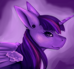 Size: 2582x2389 | Tagged: safe, artist:iluna_shake, derpibooru import, twilight sparkle, twilight sparkle (alicorn), alicorn, solo