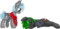 Size: 1024x494 | Tagged: safe, artist:kellythedrawinguni, derpibooru import, oc, oc only, oc:intrepid scholar, oc:winter rose, bat pony, pony, unicorn, book, clothes, female, male, mare, scarf, simple background, stallion, transparent background