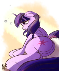 Size: 750x900 | Tagged: safe, artist:tohupo, derpibooru import, twilight sparkle, twilight sparkle (alicorn), alicorn, pony, featureless crotch, female, mare, solo