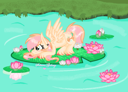 Size: 700x504 | Tagged: safe, artist:xxsakuragalaxyxx, derpibooru import, oc, oc only, oc:appleshy, pegasus, pony, colored hooves, female, filly, flower, freckles, giant lilypad, lilypad, mare, offspring, parent:big macintosh, parent:fluttershy, parents:fluttermac, solo, unshorn fetlocks