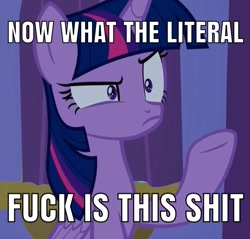 Size: 749x717 | Tagged: safe, derpibooru import, edit, edited screencap, screencap, twilight sparkle, twilight sparkle (alicorn), alicorn, molt down, cropped, image macro, meme, solo, vulgar