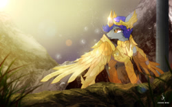 Size: 1440x900 | Tagged: safe, artist:zidanemina, derpibooru import, oc, oc only, oc:roodenn goldtrust, pegasus, pony, armor, blue hair, constellation, crossover, digital art, epic, gold cloth, gold saint, golden armor, grass, looking at something, male, sagittarius, saint seiya, shiny, signature, solo, stallion, stars, sunset, wings, zodiac