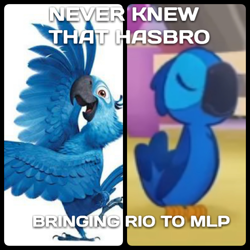 Size: 612x612 | Tagged: safe, bird, parrot, pony, my little pony: the movie, blu, blu (rio film), hyacinth macaw, macaw, meme, rio, spix's macaw