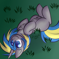 Size: 798x795 | Tagged: safe, artist:cutiepatootiee, derpibooru import, oc, oc:fizzygreen, pony, unicorn, blue, blue eyes, chest fluff, equine, grass, gray, gray coat, green, happy, laying on ground, lying down, male, nature, nudity, on back, smiling, solo, stallion, ych result, yellow