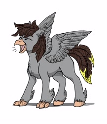 Size: 3543x4089 | Tagged: safe, artist:alexispaint, derpibooru import, oc, oc:luxor, classical hippogriff, hippogriff, feather, head feathers, missing cutie mark, screech, species swap, tail feathers