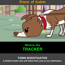 Size: 1920x1920 | Tagged: safe, artist:twilightsporckle, derpibooru import, winona, dog, brown coat, collar, female, town of salem