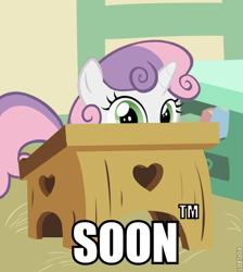 Size: 500x558 | Tagged: safe, edit, edited screencap, screencap, sweetie belle, pony, unicorn, cropped, desk, female, filly, image macro, looking at you, meme, solo, soon, tm