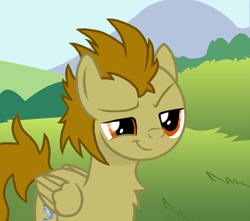 Size: 1200x1063 | Tagged: safe, artist:pizzamovies, derpibooru import, oc, oc only, oc:twister breeze, pegasus, pony, cutie mark, grass field, hill, male, smiling, smirk, solo, vector