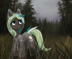 Size: 1926x1580 | Tagged: safe, artist:koviry, derpibooru import, oc, oc only, oc:bright idea, earth pony, pony, clothes, female, forest, looking away, looking up, mare, outdoors, painting, rain, raincoat, see-through, solo