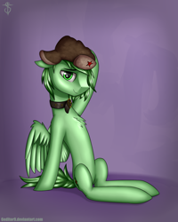 Size: 2000x2500 | Tagged: safe, artist:6editor9, artist:shidotara, derpibooru import, oc, oc only, pegasus, pony, abstract background, cap, chest fluff, collar, floppy ears, green eyes, hat, looking at you, male, playful, sitting, solo, spread wings, ushanka, wings