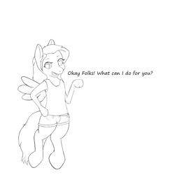 Size: 1400x1400 | Tagged: safe, artist:sparkle tushie, oc, oc only, pegasus, pony, semi-anthro, clothes, lineart, shorts, tanktop