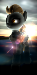 Size: 650x1337 | Tagged: safe, artist:ilucky7, derpibooru import, lightning dust, pony, 3d, clothes, solo, sun