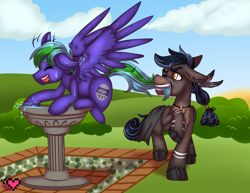 Size: 3850x2975 | Tagged: safe, artist:ladypixelheart, oc, oc only, donkey, pegasus, pony, behaving like a bird, bird bath, tail, tail pull, water