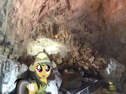 Size: 1024x764 | Tagged: safe, artist:didgereethebrony, derpibooru import, daring do, australia, blue mountains, cave, didgeree collection, jenolan caves, mlp in australia, sign, solo, stairs, stalactite