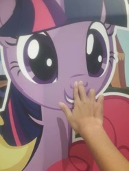 Size: 720x960 | Tagged: safe, derpibooru import, twilight sparkle, human, boop, cute, hand, irl, irl human, photo, smiling, stock vector