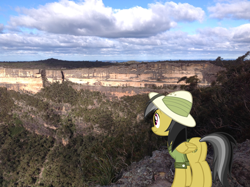 Size: 1024x765 | Tagged: safe, artist:didgereethebrony, derpibooru import, daring do, australia, blue mountains, canyon, cliff, didgeree collection, kanangra boyd national park, kanangra walls, mlp in australia, solo, valley