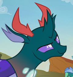 Size: 644x674 | Tagged: safe, derpibooru import, screencap, pharynx, changedling, changeling, to change a changeling, cropped, prince pharynx, smiling, smirk