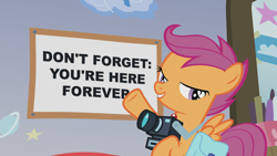 Size: 1920x1080 | Tagged: safe, edit, edited screencap, screencap, scootaloo, pony, parental glideance, camera, don't forget you're here forever, meme, poster, solo