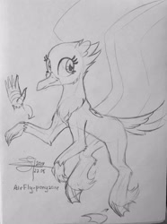 Size: 2318x3112 | Tagged: safe, artist:airfly-pony, derpibooru import, oc, oc only, oc:schnabel, bird, bird pone, hybrid, pony, albatross, bird tail, cute, design, design a pony, female, large wings, lineart, monochrome, rcf community, solo, traditional art, wings