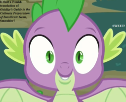 Size: 800x650 | Tagged: safe, derpibooru import, edit, edited screencap, screencap, spike, dragon, molt down, cropped, implied smolder, misspelling, spread wings, text, winged spike, wings