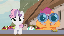 Size: 1920x1080 | Tagged: safe, screencap, scootaloo, sweetie belle, pony, hard to say anything, binoculars, discovery family logo