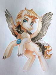 Size: 809x1080 | Tagged: safe, artist:aphphphphp, oc, oc only, hybrid, pegasus, pony, claws, flying, jewelry, male, necklace, solo, stallion, traditional art, watercolor painting