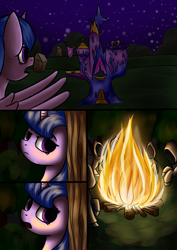 Size: 4299x6071 | Tagged: safe, artist:6editor9, derpibooru import, twilight sparkle, twilight sparkle (alicorn), alicorn, comic:curse and madness, absurd resolution, bonfire, castle, comic, cultist, female, hooded cape, mare, mlpcam, night, twilight's castle