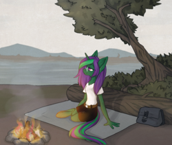 Size: 1500x1267 | Tagged: safe, artist:lonerdemiurge_nail, derpibooru import, oc, oc only, oc:buggy code, anthro, bag, campfire, clothes, fire, glasses, lake, shirt, shorts, sitting, solo, tree