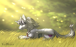 Size: 1280x800 | Tagged: safe, artist:marinavermilion, derpibooru import, oc, oc:yiazmat, pony, unicorn, commission, male, meadow, solo