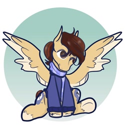 Size: 1080x1080 | Tagged: safe, artist:incapacitatedvixen, derpibooru import, oc, oc:midnight mystery, pegasus, pony, amino, both cutie marks, clothed ponies, clothes, colt, male, one eye closed, sitting, smiley face, solo, spread wings, wings, wink