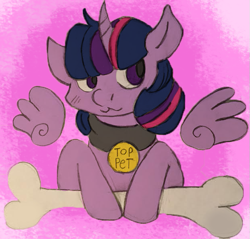 Size: 623x595 | Tagged: safe, artist:mewcifur, derpibooru import, twilight sparkle, twilight sparkle (alicorn), alicorn, pony, behaving like a dog, bone, collar, floating wings, pet play, pet tag, solo