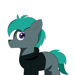 Size: 4000x4000 | Tagged: safe, artist:velvet rose, derpibooru import, oc, oc only, oc:zepyhr rose, looking at you, male, simple background, simple shading, solo, stallion, transparent background