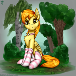 Size: 2000x2000 | Tagged: safe, artist:6editor9, artist:shidotara, derpibooru import, oc, oc only, pegasus, pony, clothes, collar, female, forest, golden eyes, sitting, socks, solo, striped socks, tree, watching