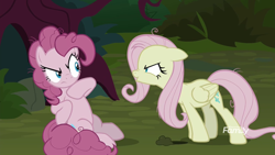 Size: 1920x1080 | Tagged: safe, derpibooru import, screencap, mean fluttershy, mean pinkie pie, the mean 6, clone, discovery family logo, flutterbitch