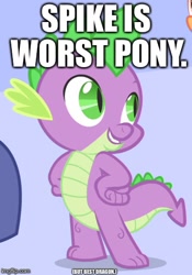 Size: 341x487 | Tagged: safe, derpibooru import, edit, edited screencap, screencap, spike, dragon, bait and switch, best dragon, cropped, cute, fine print, image macro, meme, op is a cuck, op is trying to start shit, solo, solo focus, worst pony