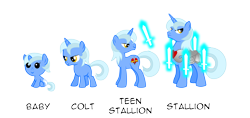 Size: 9500x4500 | Tagged: safe, artist:northernthestar, derpibooru import, oc, oc:valiant heart, pony, unicorn, absurd resolution, age progression, armor, baby, baby pony, colt, magic, male, showcase, simple background, stallion, teenager, transparent background