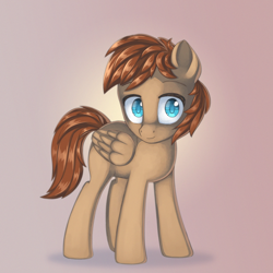 Size: 2000x2000 | Tagged: safe, artist:anonbelle, derpibooru import, oc, oc only, oc:atlas, pegasus, pony, commission