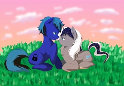 Size: 4168x2894 | Tagged: safe, artist:wernex, derpibooru import, oc, pony, commission, cute, female, male, ych result